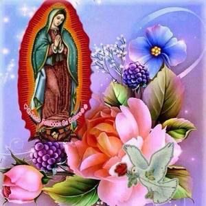 Meet your Posher, Mercedes